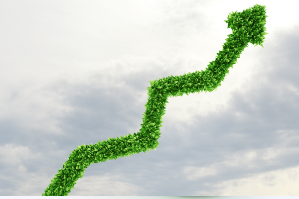 Economy growth